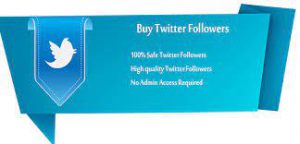 How to Buy Twitter followers cheap