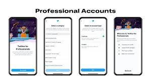 set up a professional Twitter account