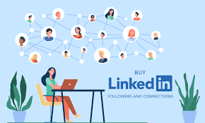 where to buy LinkedIn company follower services
